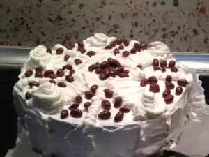 Torta od keksa sa pavlakom