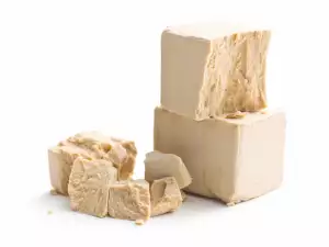 Ima li glutena u kvascu?