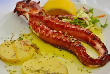 Saveti za pripremu ukusne hobotnice