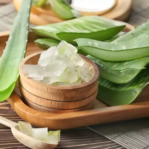 Za šta je korisna Aloe Vera?