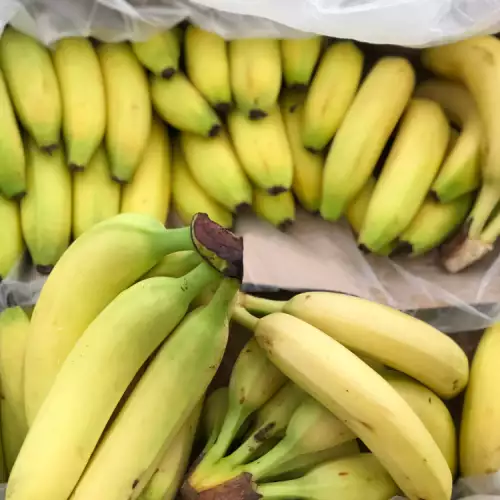 9 razloga koji će vas naterati da češće jedete banane