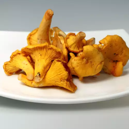 Da li lisičarka ima otrovnog dvojnika?