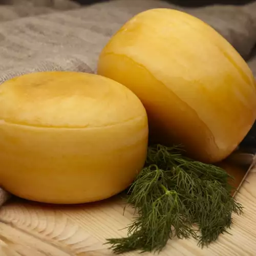 Čedar