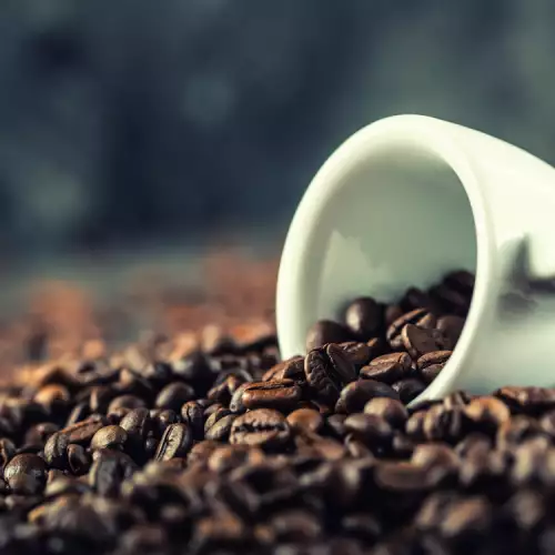 Kafa Robusta - šta treba da znamo