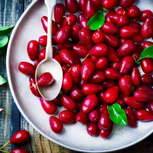Drenjine - jesenja apoteka iz prirode