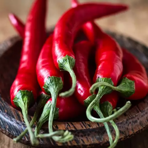 Lekovita snaga ljutih paprika