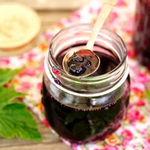 Kako da napravite slatko, marmeladu i sirup od ribizle