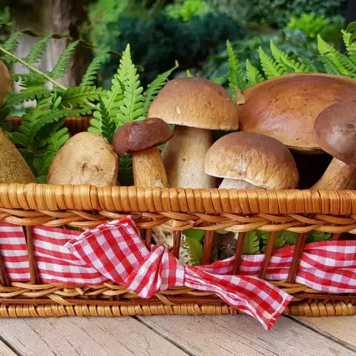 Kako se spremaju zamrznuti vrganji?