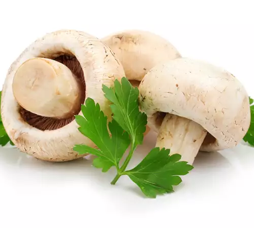 Pečurke