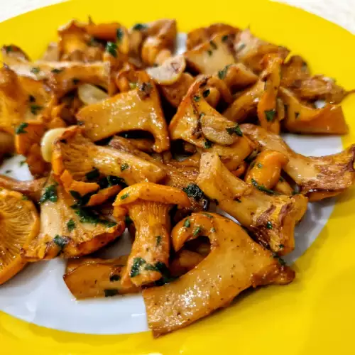 Kako da pripremimo pečurke lisičarke