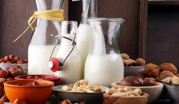 Koje vrste biljnih mleka postoje?