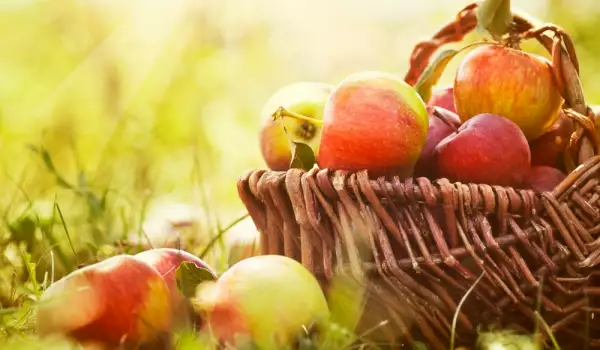 Kako da čuvamo jabuke?