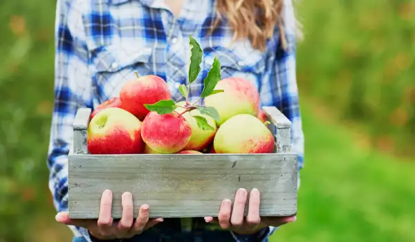 Zašto i kako da zamrznemo jabuke