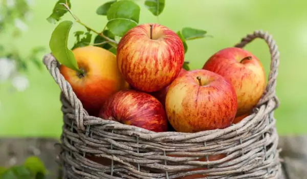 Kako da sačuvate jabuke tokom zime