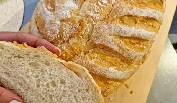Art hleb
