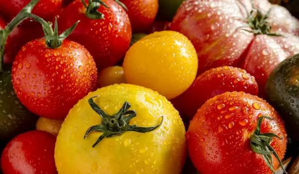 Kako da biramo paradajz?