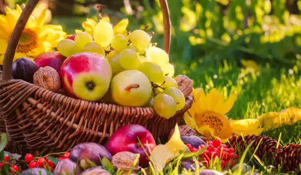 Grožđe, jabuke, kruške, kako da odaberemo najbolje