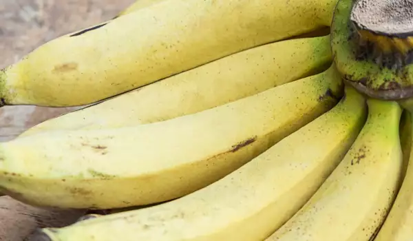 Koliko proteina ima u bananama?