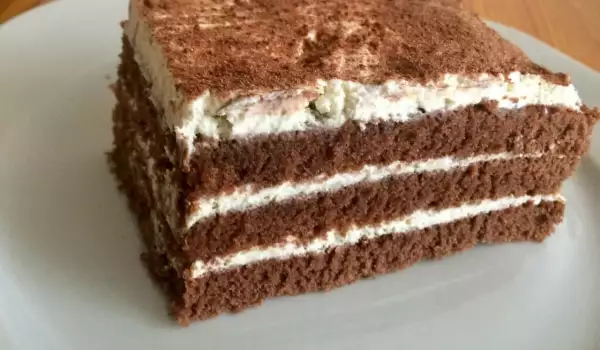 Brza torta sa jednostavnim kremom