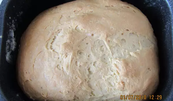 Pivski hleb u mini pekari