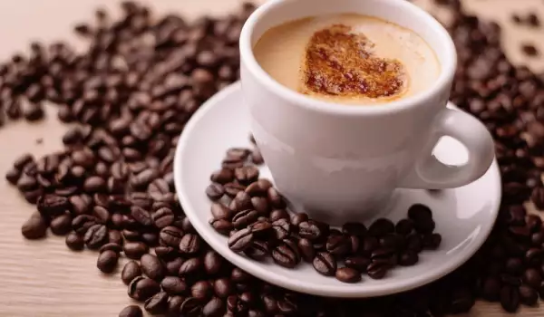 Koja je razlika između kafe Arabika i kafe Robusta?