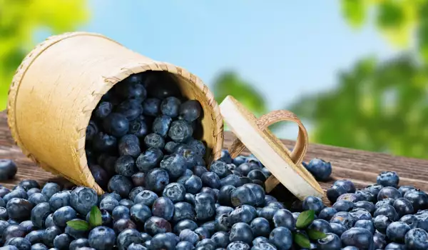 Borovnive su hrana za sreću