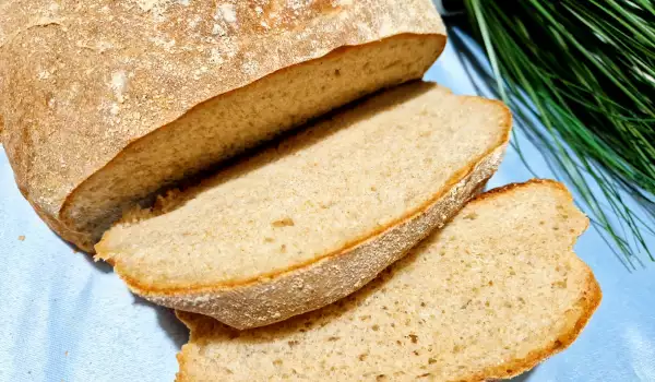 Hleb od pšenice, raži i kukuruza