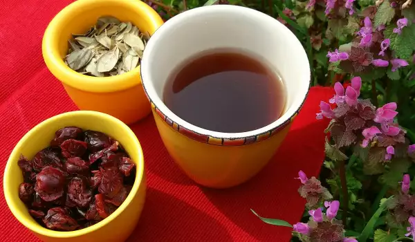 Čaj od brusnice i njenih listova za zdrave mokraćne puteve