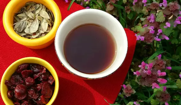 Čaj od brusnice i njenih listova za zdrave mokraćne puteve