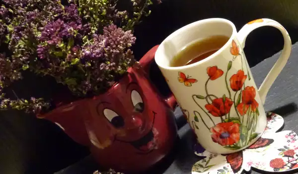 Čaj od origana (Origanum vulgare)