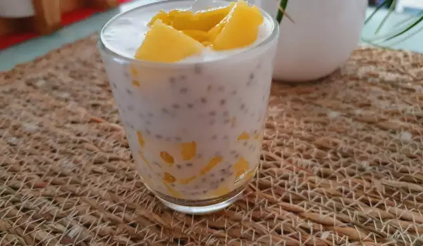 Čia kremići sa mangom i kokosovim mlekom