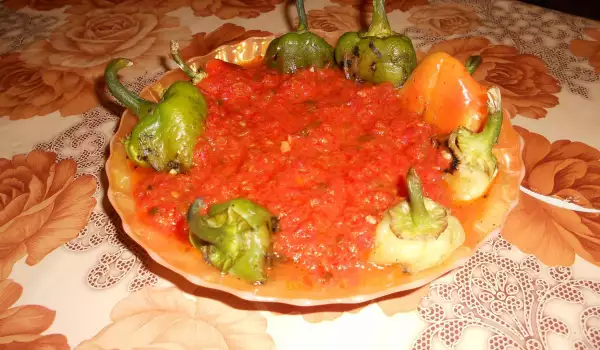 Sveže paprike sa paradajz sosom