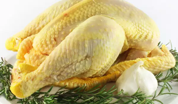 Šta je DUC organska piletina?