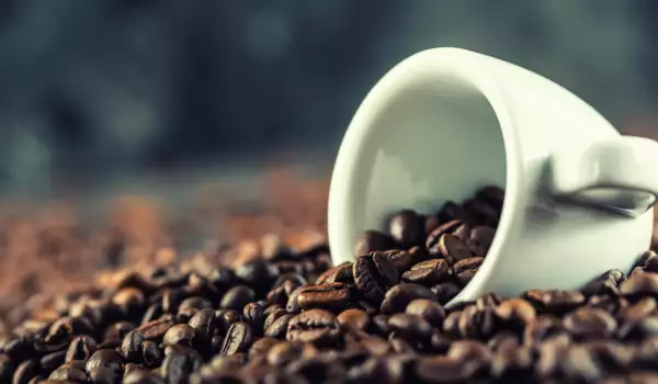 Kafa robusta - šta treba da znamo