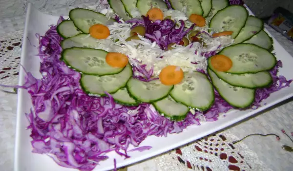 Šarena salata sa kupusom