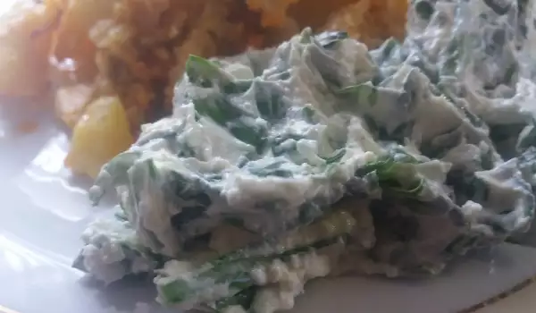 Salata od sremuša sa fetom