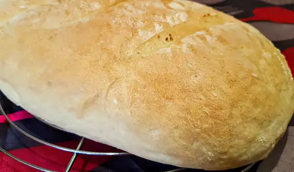 Moj domaći pekarski hleb