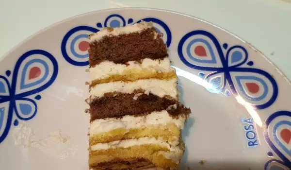 Sočna čoko-vanila torta