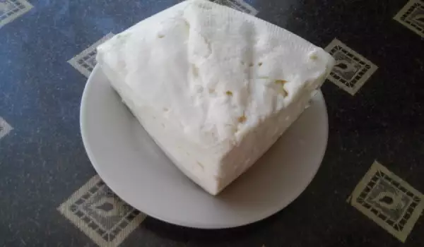 Domaći bivolji sir