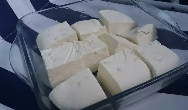 Domaći koziji sir po bakinom receptu