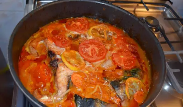 Jesetra u pikantnom paradajz sosu
