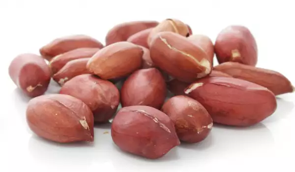 Pet vrsta orašastih plodova za zdravo srce