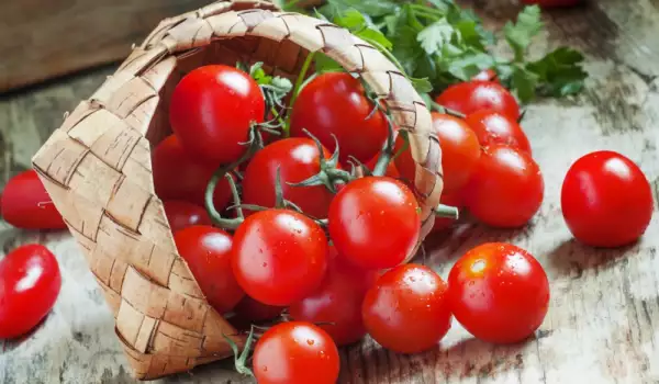 Lekovita svojstva paradajza