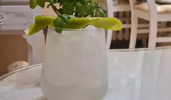 Gin Fizz koktel