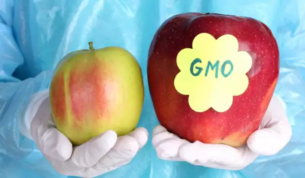 Kako da prepoznamo GMO voće?