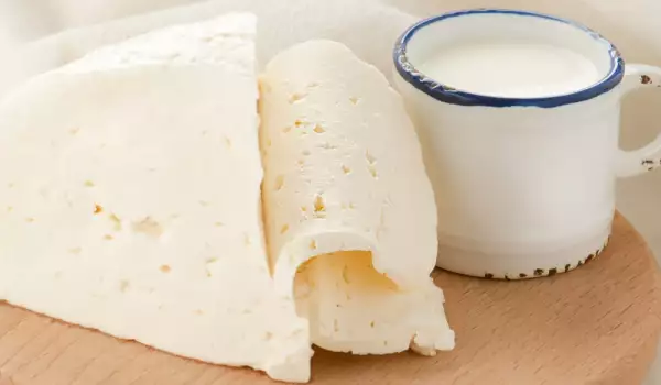Kako se pravi domaći sir?