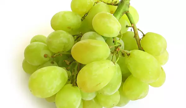 Grožđe