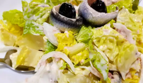 Zelena salata sa tunjevinom i inćunima