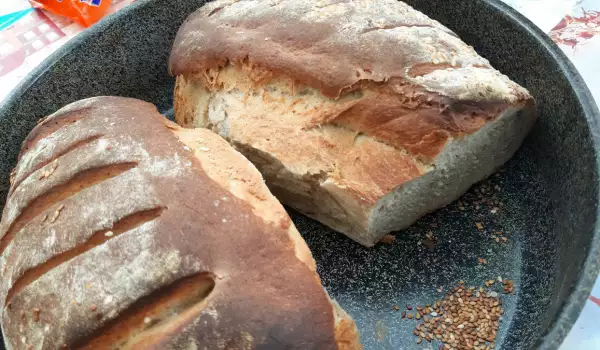 Hleb sa kvasom bez mešenja