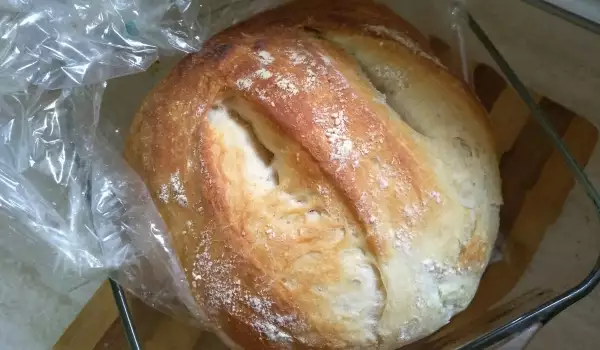 Ražani pšenični hleb u kesi po Valinom receptu